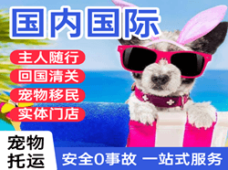 三义航空货运国际宠物托运 【国